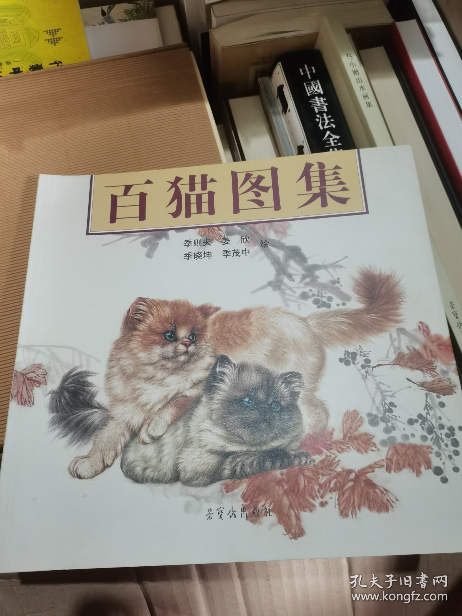 百猫图集