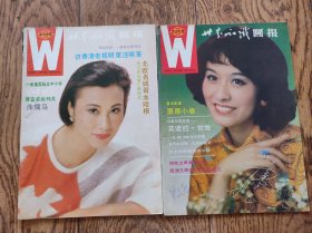 《世界知识画报》杂志/1985年第3期+第6期（两本合售）