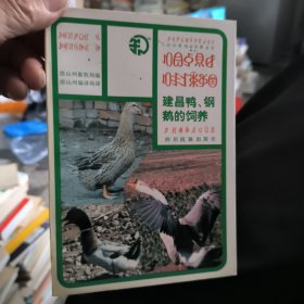 建昌鸭，钢鹅的饲养（彝汉文）