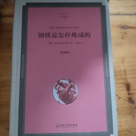 钢铁是怎样炼成的（全译本）