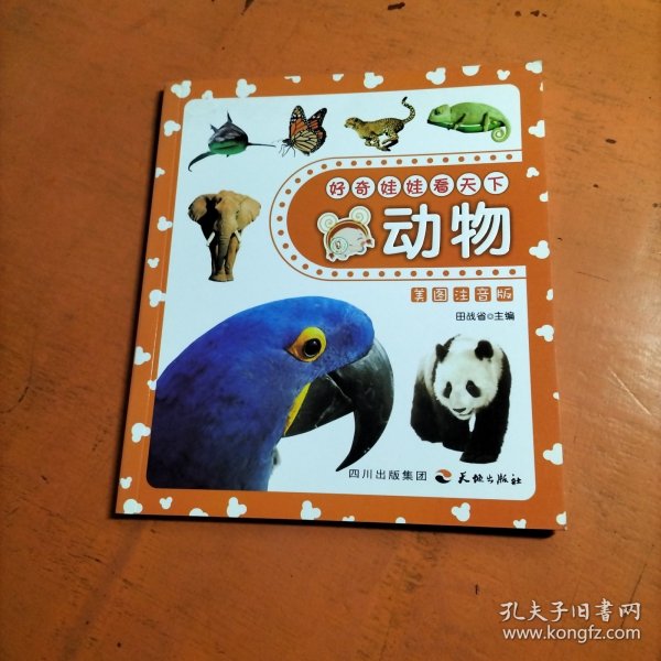 好奇娃娃看天下动物