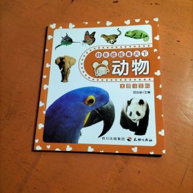 好奇娃娃看天下动物