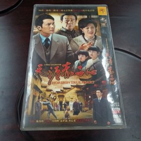 天涯赤子心：大型励志亲情电视连续剧DVD-9光盘2张（国语发音 中文字幕）