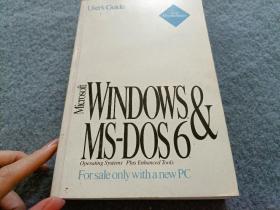 Microsoft Windows and MS-DOS 6 英文原版书