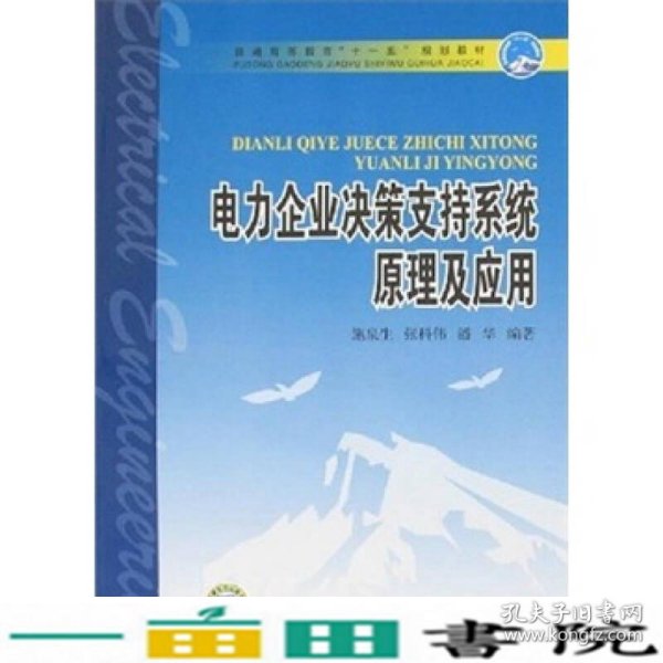 电力企业决策支持系统原理及应用