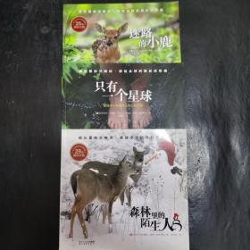 感动全球的摄影狂想曲系列：迷路的小鹿  只有一个星球  森林里的陌生人  3本