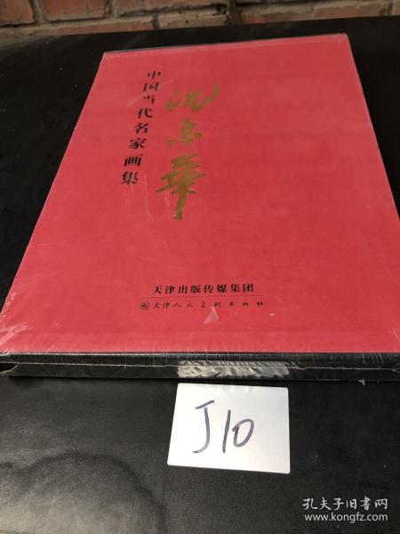 中国当代名家画集：沈素华