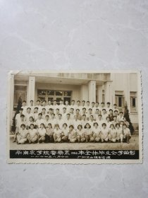 黑白毕业老照片，华南农学院蚕桑系，1964年，毕业留影