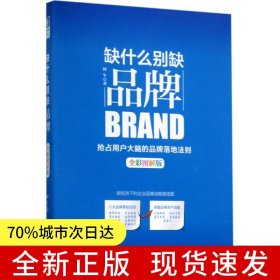 缺什么别缺品牌（全彩图解版）：抢占用户大脑的品牌落地法则