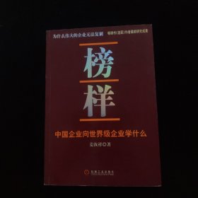 榜样：中国企业向世界级企业学什么