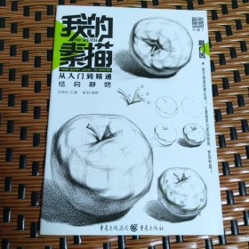 我的素描·从入门到精通——结构静物