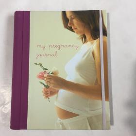 My Pregnancy Journal  我的怀孕日记