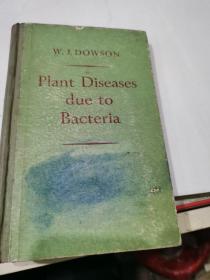W.J.DOWSON  PIant Diseases due to Bacteria
