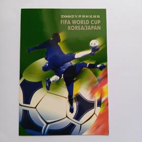 2002年世界杯足球赛（2002-11J）