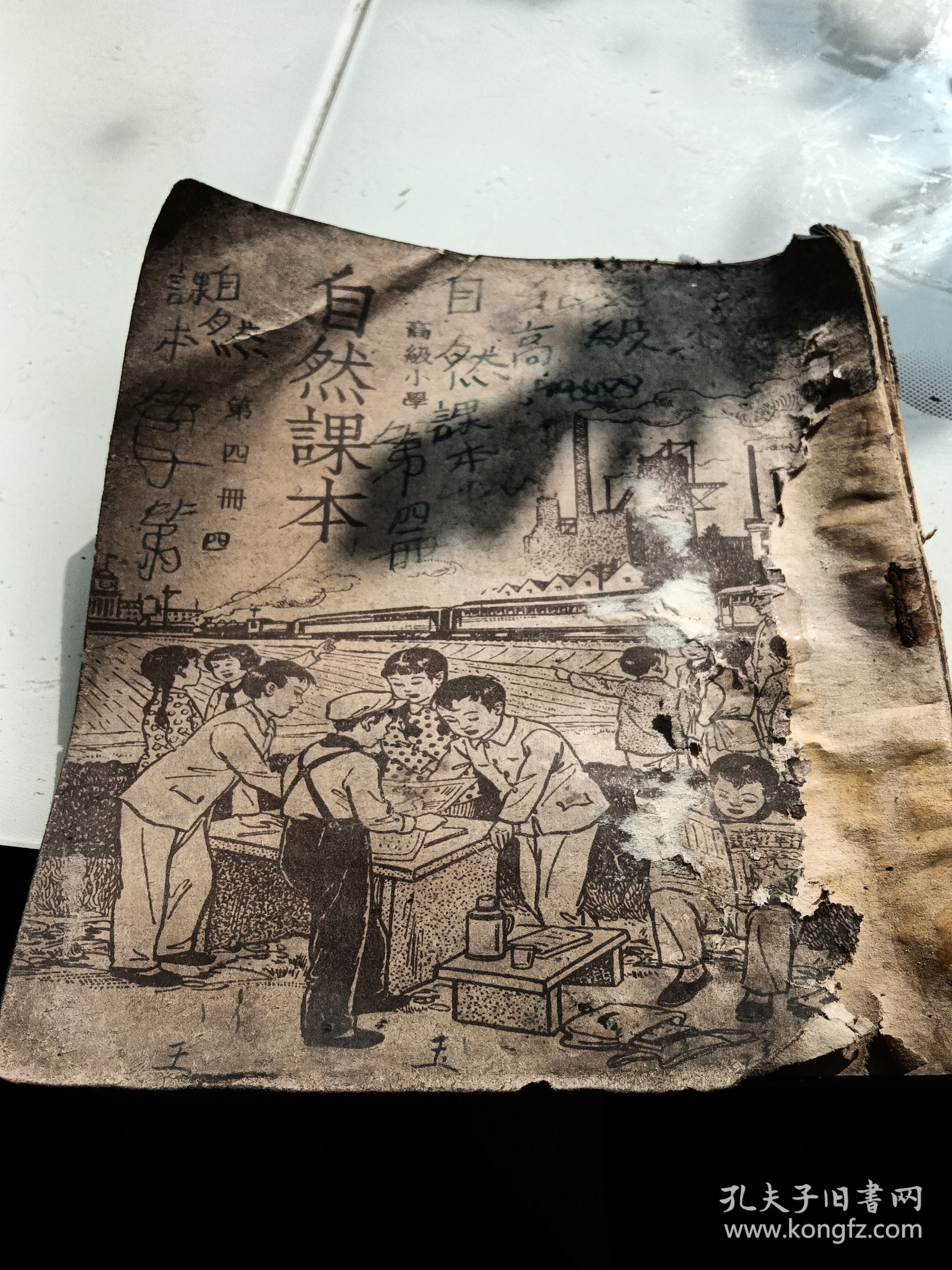 高级小学自然课本，第四册，外皮有折痕有污垢有破损，1951年济南，看图免争义