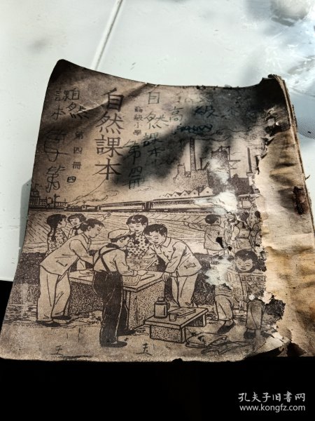 高级小学自然课本，第四册，外皮有折痕有污垢有破损，1951年济南，看图免争义