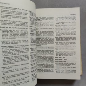 dictionnaire du bon français 好法语词典