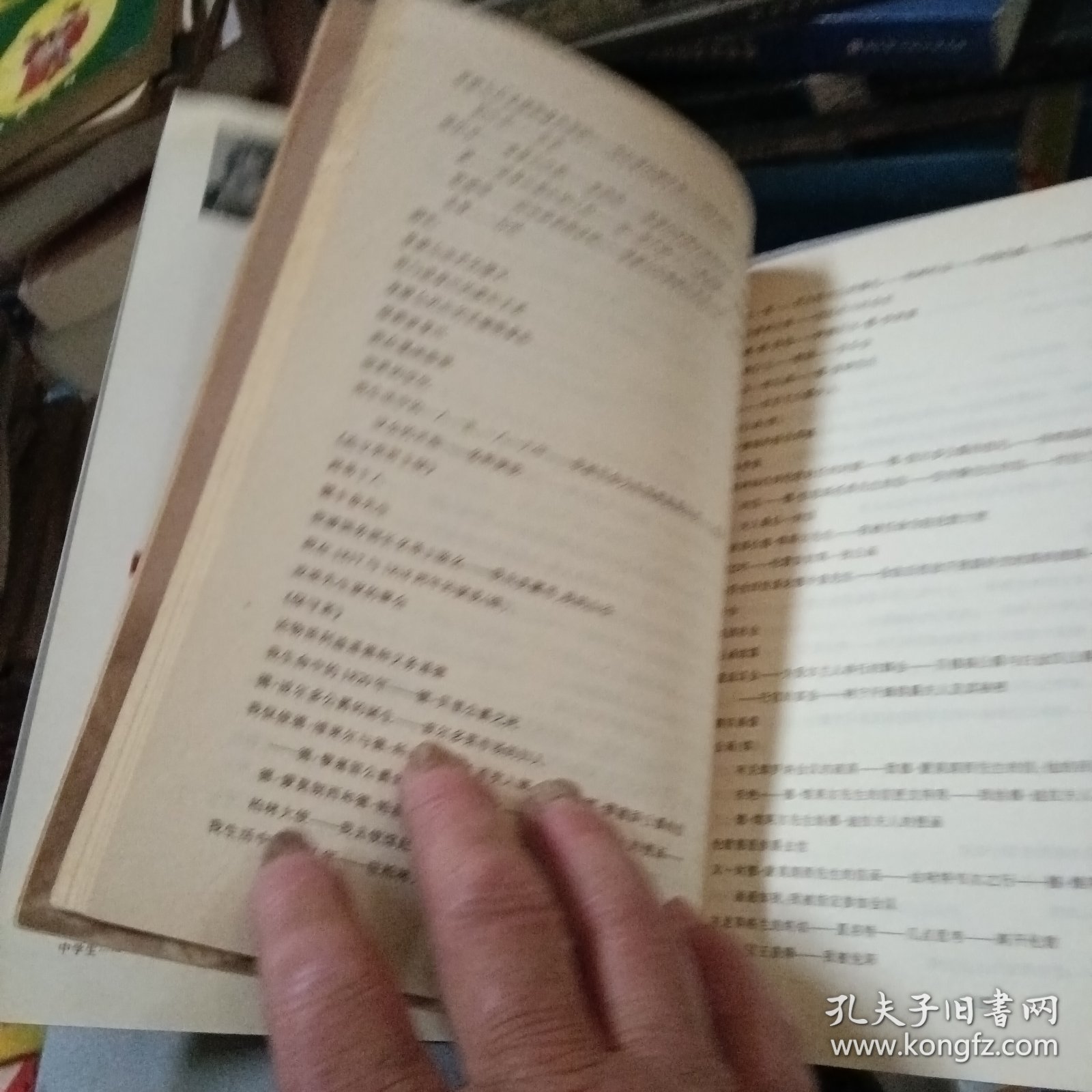 墓畔回忆录（上中卷，缺下卷）