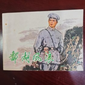 鄱湖风浪