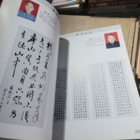 翰墨丹青夕阳情 潍柴老年书画作品集