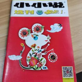 小小说选刊