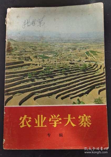 农业学大寨——专辑