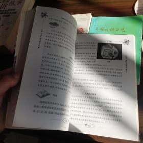 探究式学习丛书：岩石和矿物