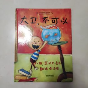 大卫，不可以 精装 有破损见描述