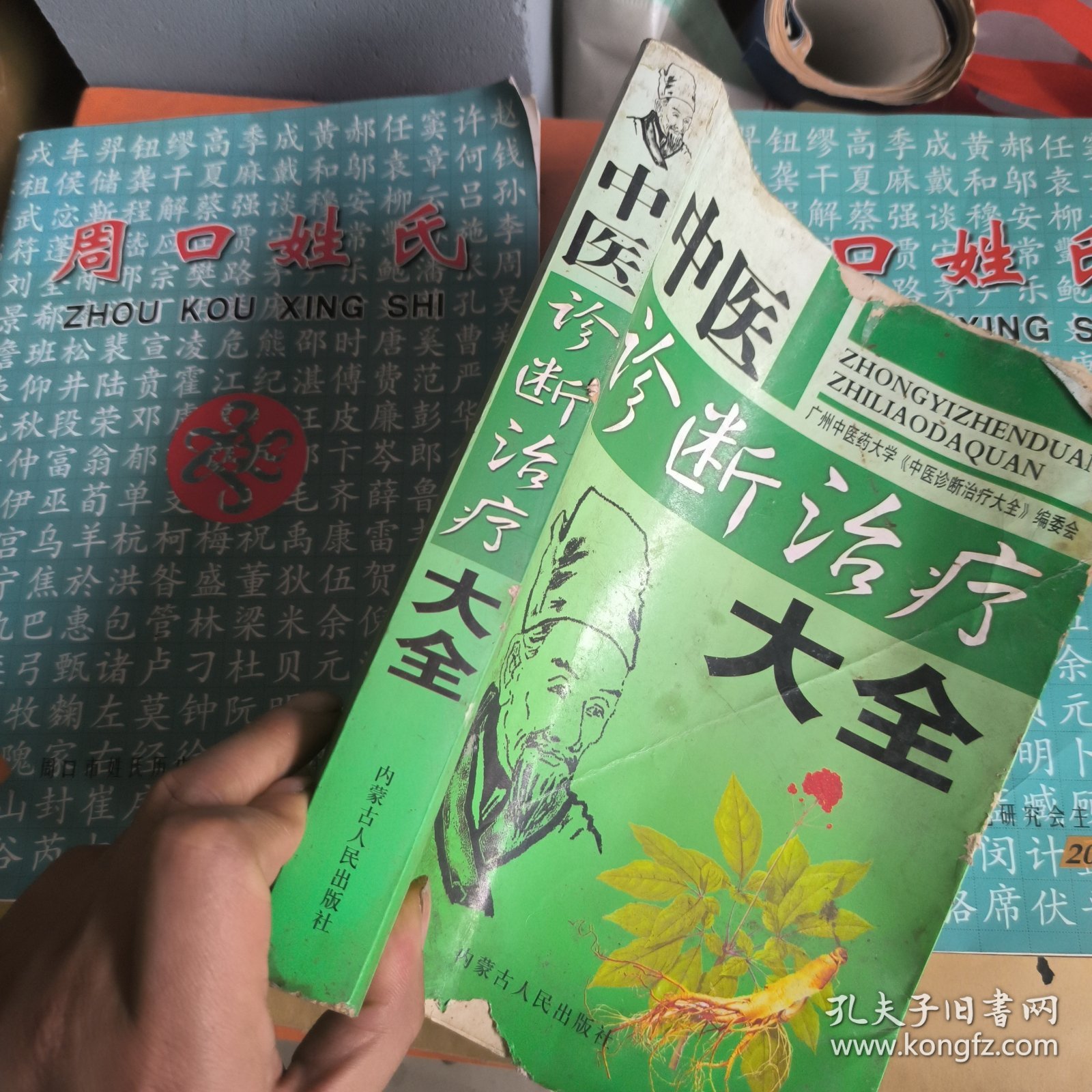 中医诊断治疗大全