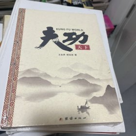 功夫天下