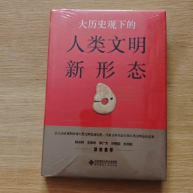 大历史观下的人类文明新形态【未开封】