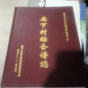 局下村综合谱志