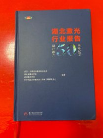 湖北激光行业报告