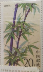 《竹子》邮票之紫竹