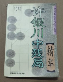 许银川中残局精华