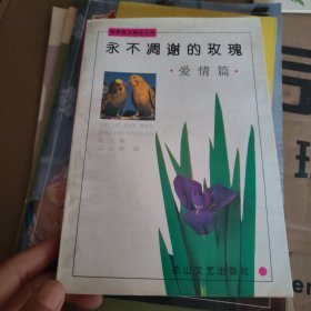永不凋谢的玫瑰——爱情篇