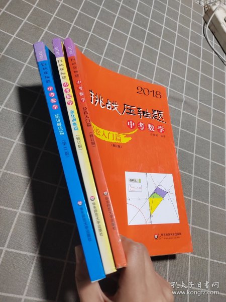 2018挑战压轴题·中考数学 轻松入门篇（修订版）