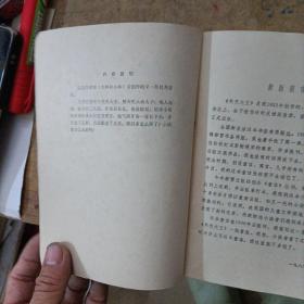 秃秃大王