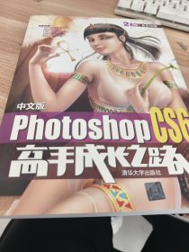 中文版Photoshop CS6高手成长之路