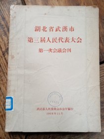 1958年湖北省武汉市第三届人民代表大会第一次会议会刊，16开初版本，品见描述包快递发货。