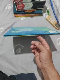 小章鱼遇到大麻烦：来自伦勃朗和梵高故乡的图画书