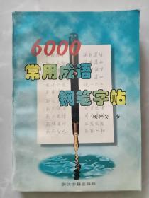 6000常用成语钢笔字帖