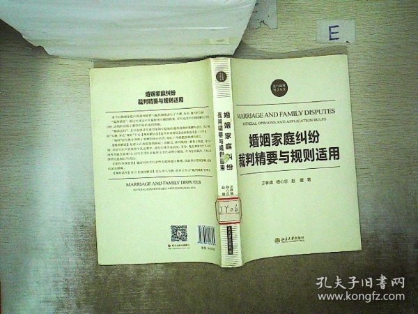 法官裁判智慧丛书：婚姻家庭纠纷裁判精要与规则适用