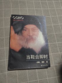 当鞋合脚时：奥修人生箴言系列