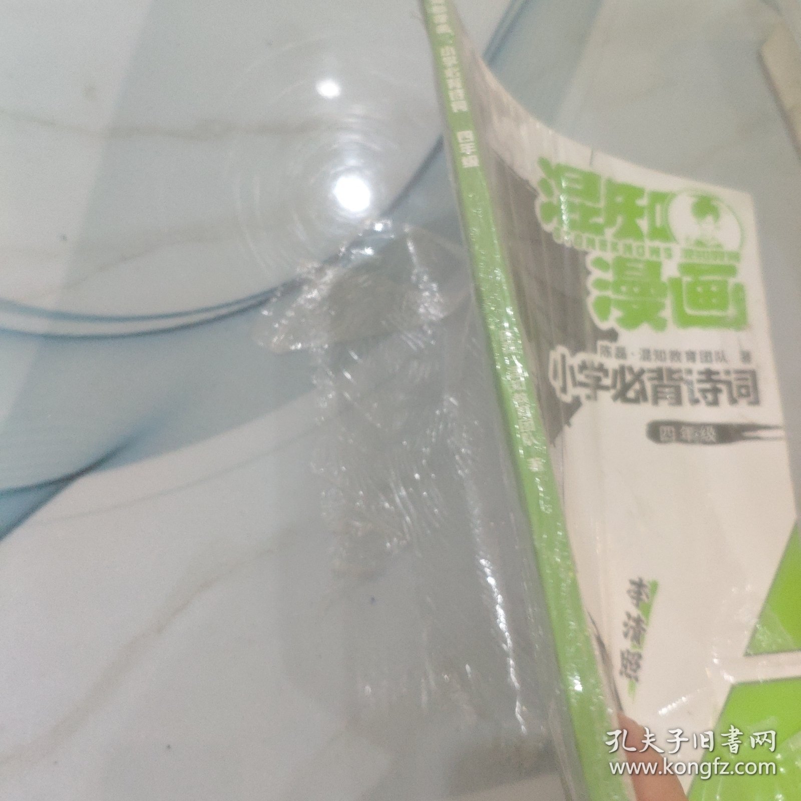 混知漫画小学必背诗词（四年级李清照）