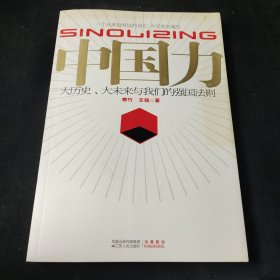 中国力：大历史、大未来与我们的强国法则