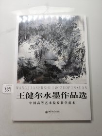 中国高等艺术院校教学范本：王健尔水墨作品选
