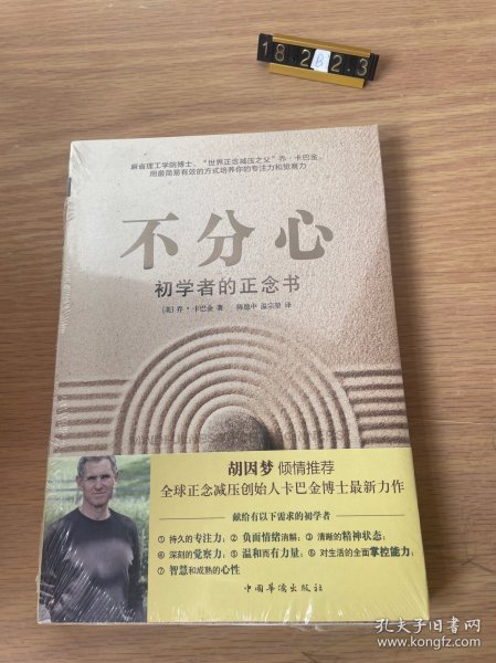 不分心：初学者的正念书