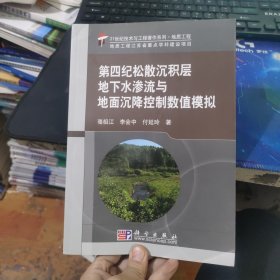 21世纪技术与工程著作系列：第四纪松散沉积层地下水渗流与地面沉降控制数值模拟