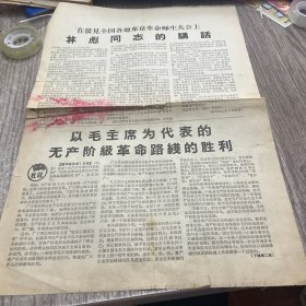 在接见全国各地来京革命师生大会上林彪同志的讲话，保老